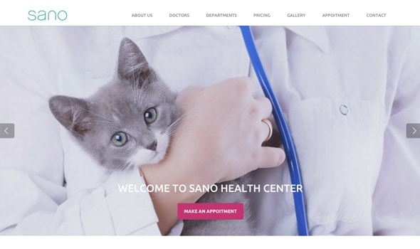 Sano Medical Website Designs