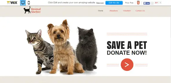 Animal Shelter Website Template