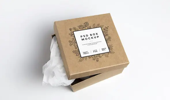 Cardboard-Box-PSD-MockUp