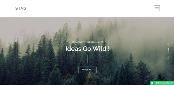 Stag Portfolio Theme Freelancers Agencies