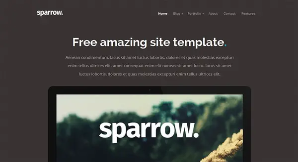 sparrow multipurpose template