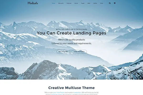 12.Modicate Bootstrap HTML5 template