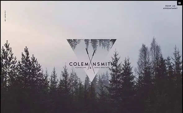 6 colemansmith.ca1 gradient website design
