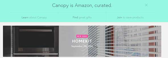 canopy co a curated shop for amazon