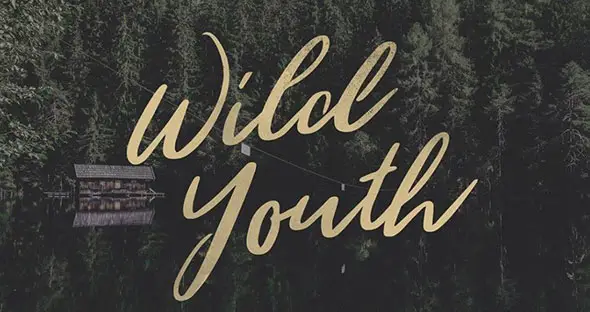 WILD-YOUTH-—-Pixel-Surplus-_-Resources-For-Designers
