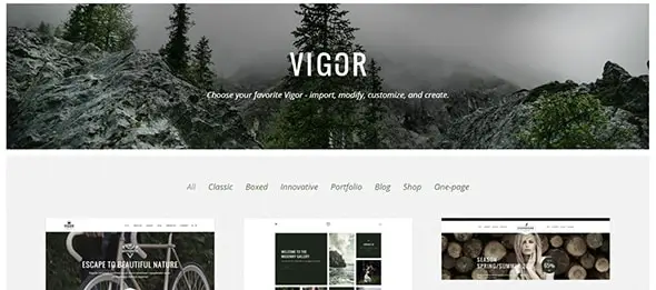 Vigor Masculine Website Designs