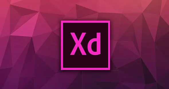 19 Best Adobe XD Tutorials