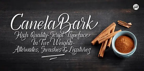 Canela Bark thin Font