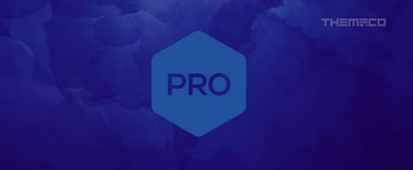 Pro WordPress Theme