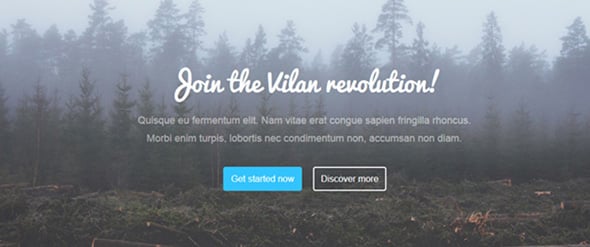 Vilan Corporate Forum Website Themes