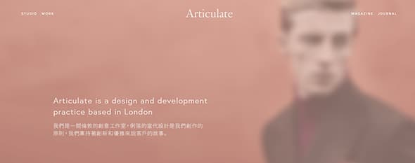 Articulate Studio Full Screen Photo website