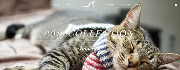 CatScarf Full Screen Photo websites