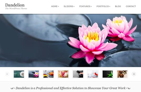 Dandelion - Powerful Elegant WordPress photo Theme 
