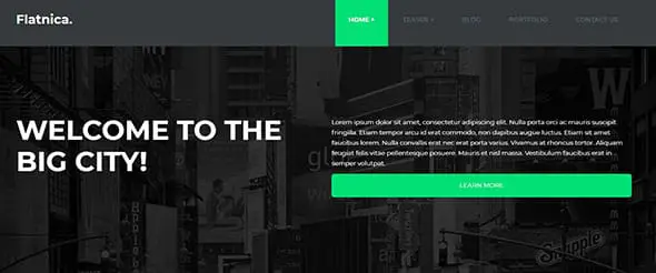 Flatnica - Ultimate Flat Template Preview - ThemeForest