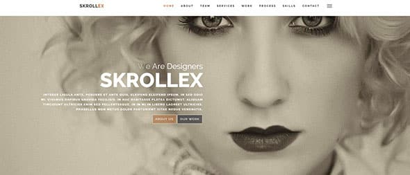 Skrollex Responsive Website Template