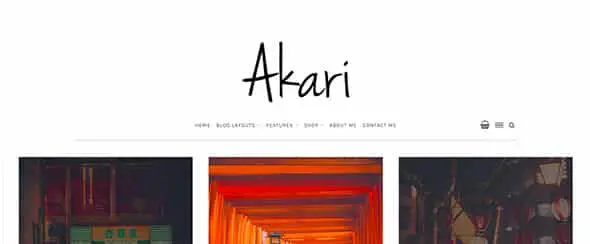 Akari - Elegant WordPress Blog Theme