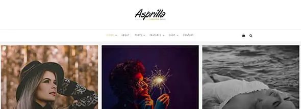 Asprilla - a Multi-Concept Blog Theme For WordPress Preview - ThemeForest Simple WordPress Theme for Quick Website Making