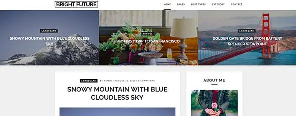 Wopethemes Simple WordPress Theme for Quick Website Making