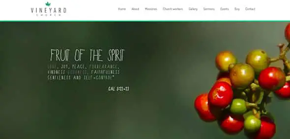 Vineyard Church - One Page Responsive Religious Template
