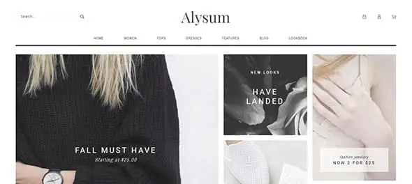 Alysum Ecommerce Website Template
