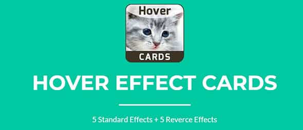 Hover Effects - Animated Cards