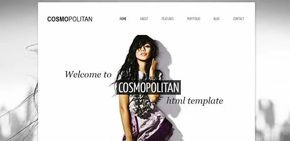Cosmopolitan - Professional Website Template
