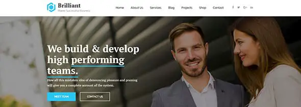 Brilliant - Business Consulting Professional Website Template