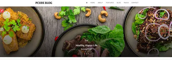 Food Website Template for Blog