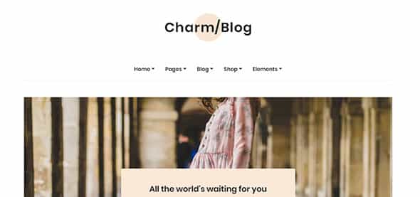 Charm Blog Website Template for Blog