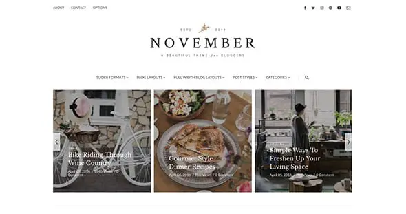 14 November - A WordPress Blog Theme