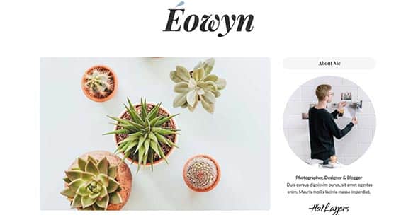 23 Eowyn - A Minimal Responsive WordPress Blog Theme