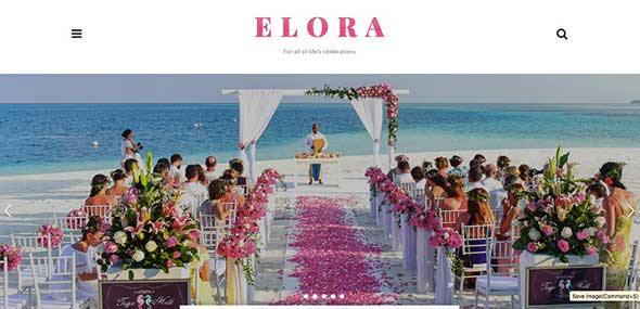 8 Elora - Clean & Modern WordPress Blog Theme