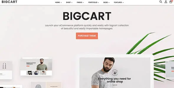 13 Bigcart - Clean, Modern WordPress Theme for WooCommerce