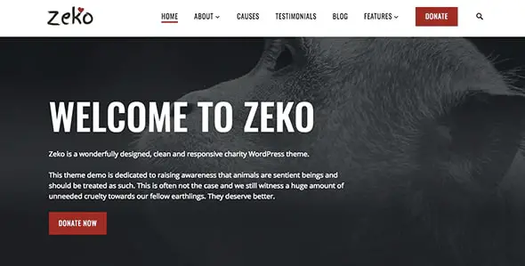 14 Zeko non-profit WordPress theme