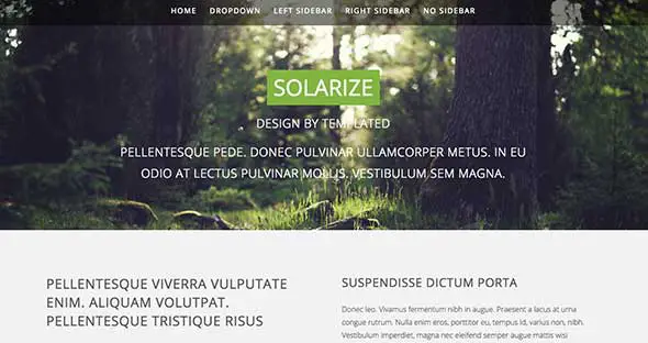 18 Solarize Free Dreamweaver Template