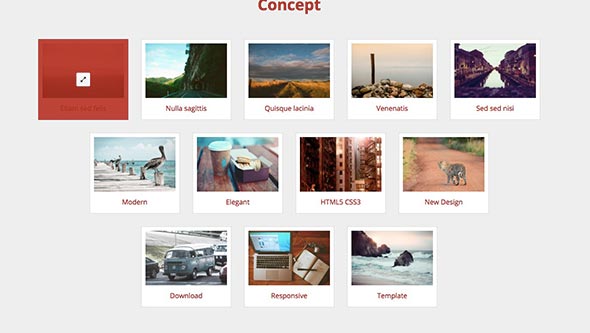 24 Concept Free Dreamweaver Template