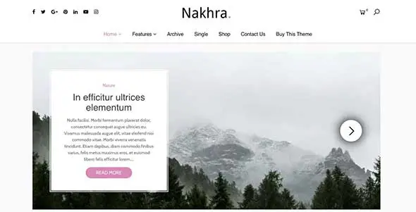 25 Nakhra - Modern Personal WordPress Blog & Magazine Theme