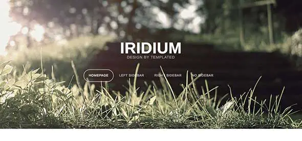 8 Iridium Free Dreamweaver Template