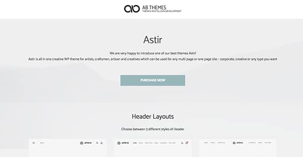 9 Astir Creative Website Templates