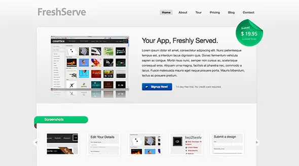 11 FreshServe - A Web App : SaaS Website Theme