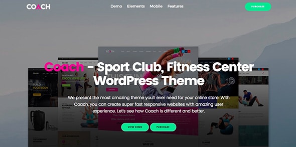 24 Coach - Sport Clubs, Fitness Centers & Courses WordPress Theme