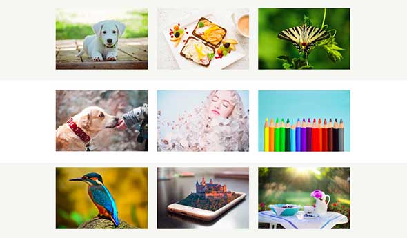 16 Flutter – CSS Image Hover Effects & Lightbox