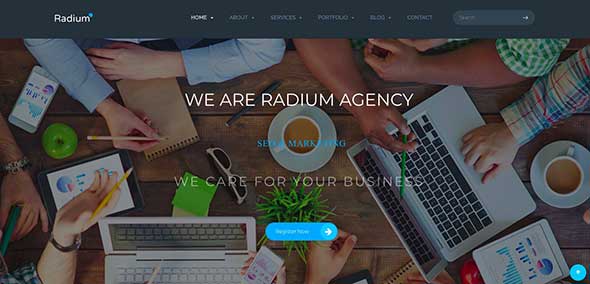 18 Radium - SEO :Digital Agency WordPress Theme