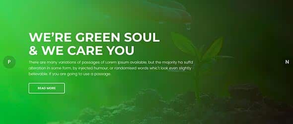 20 Green Soul - Environment & Non-Profit WordPress Theme