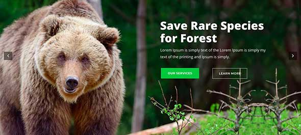 25 Envit – An Environmental WordPress theme