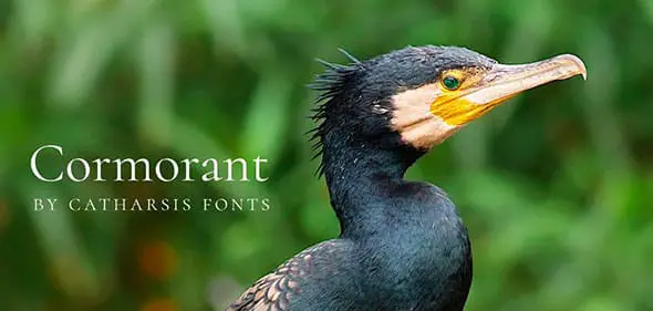 17 Cormorant Free Classic Fonts