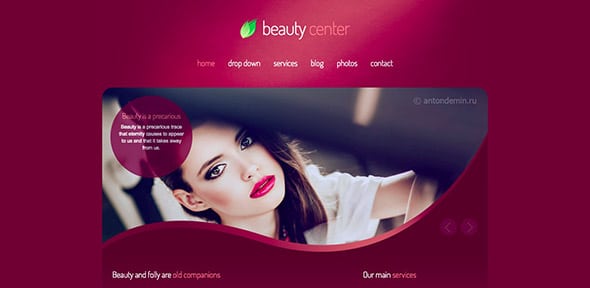 6 Beauty Center - Responsive WordPress Theme