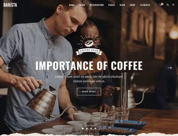10 Best WordPress Themes for Cafes - Barista
