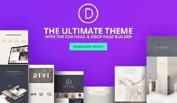 Top 10 WordPress Landing Page Themes For Online Business - Divi