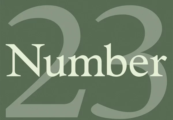 NUMBER 23 Typeface - A Number Type With Character